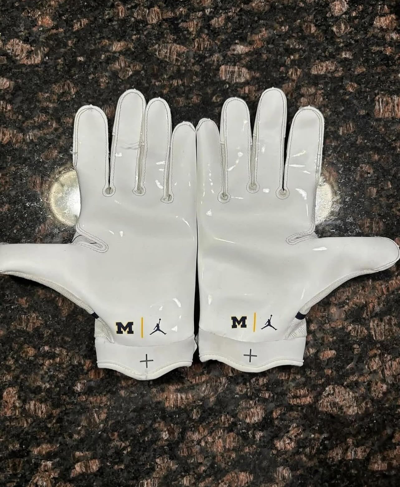 MICHIGAN GLOVES